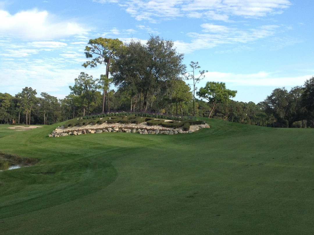 Innisbrook Golf Academy景点图片