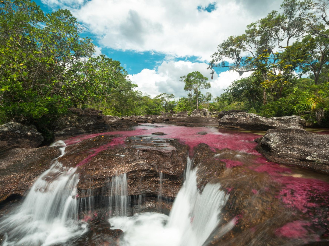 Cano Cristales-La Macarena必去景点