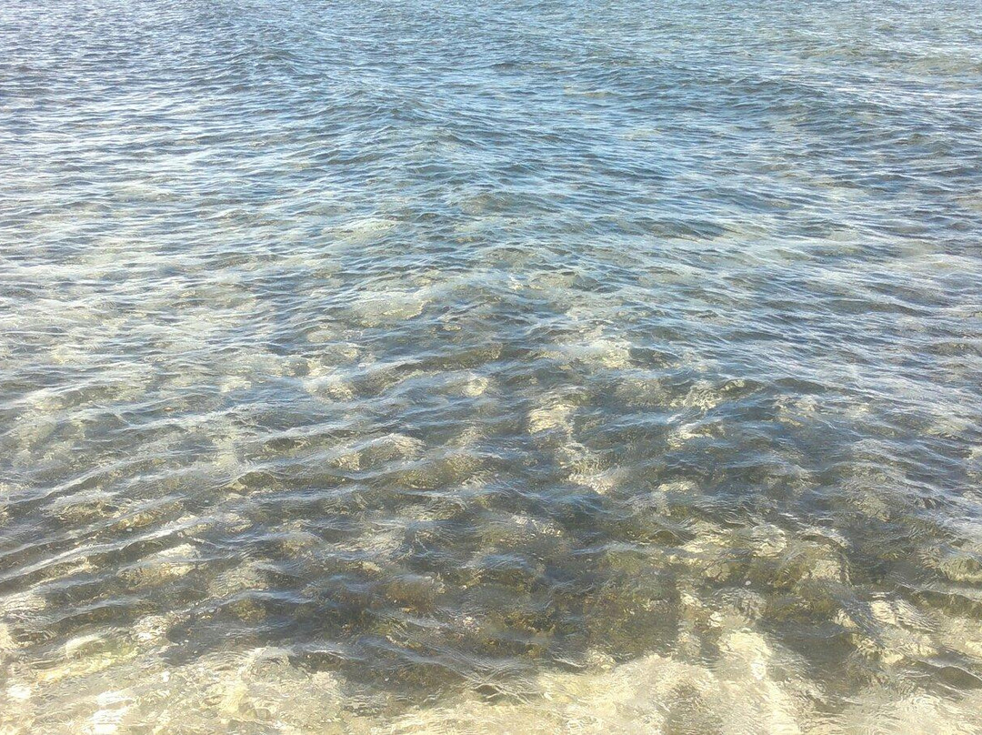 Carolina Beach-巴东必去景点