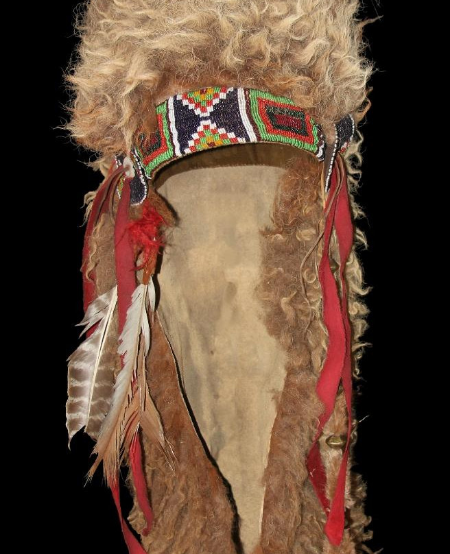 Museum of Native American History景点图片