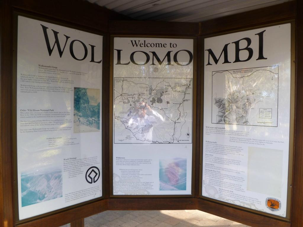 Wollomombi Falls景点图片