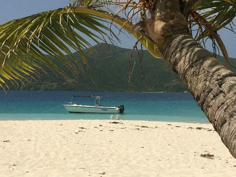 Aqua Blue Charters-夏洛特阿马利亚必去景点