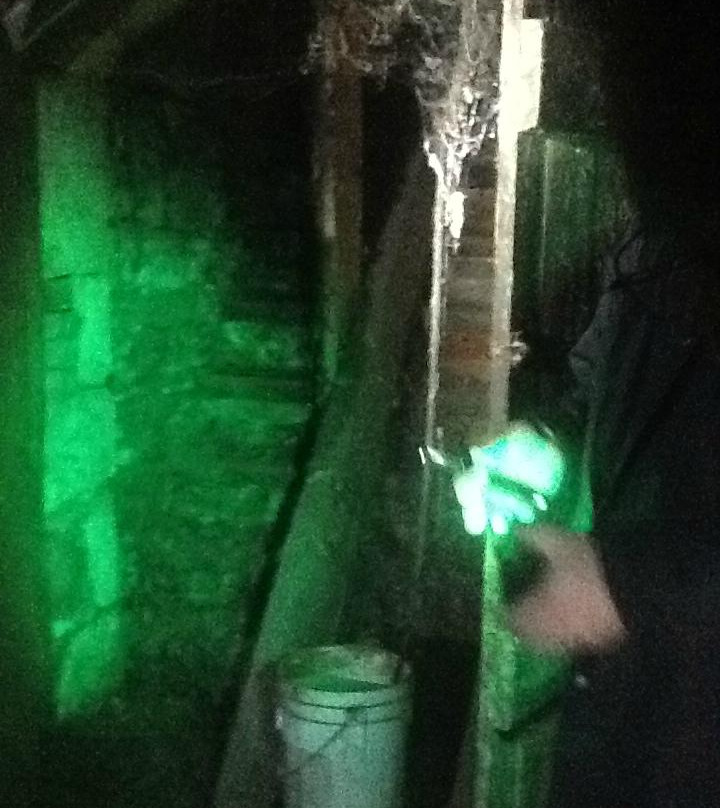 Ghost Crime Tours-阿德莱德必去景点