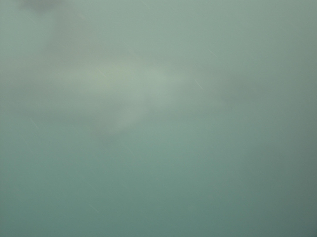 Marine Dynamics  Shark Tours-干斯拜必去景点