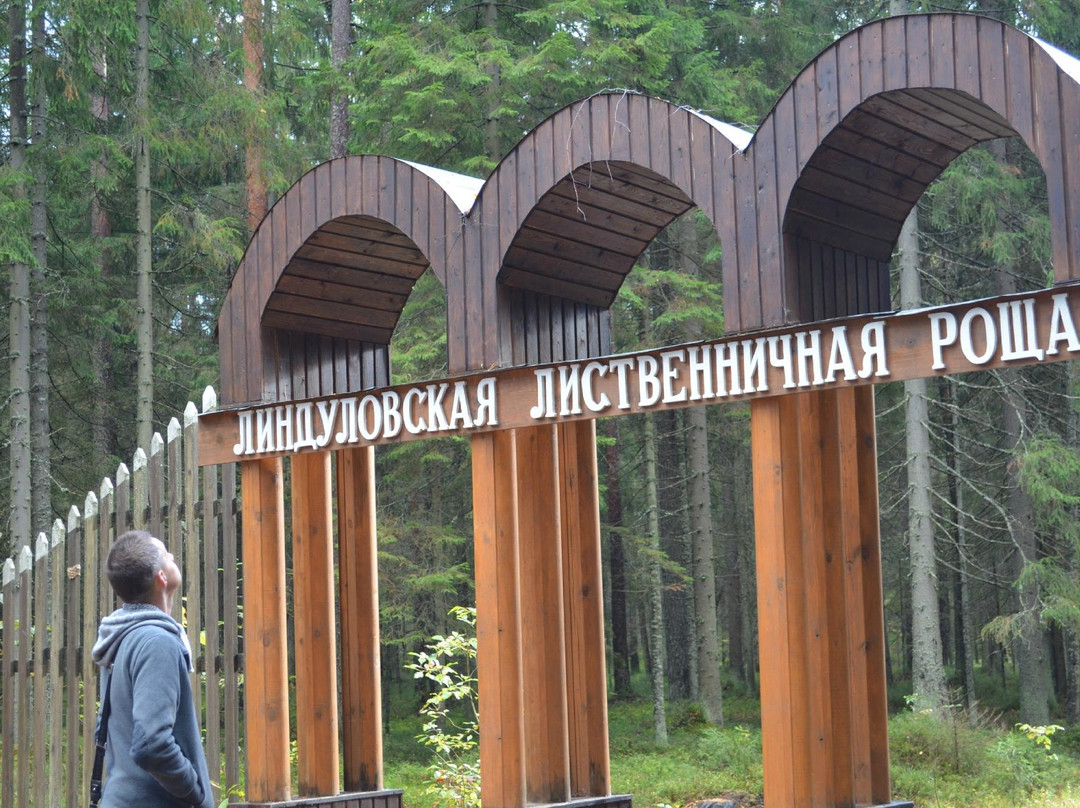 Lindulovskaya Grove景点图片