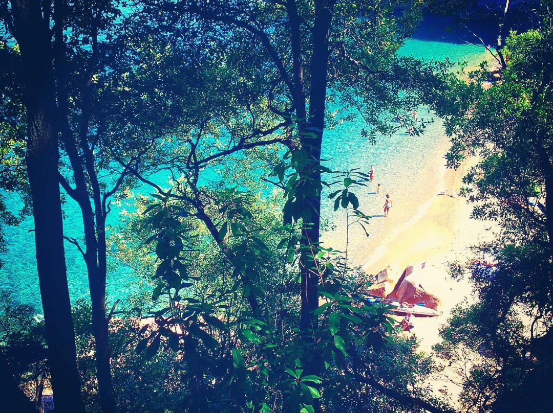 Plage de Ficajola景点图片