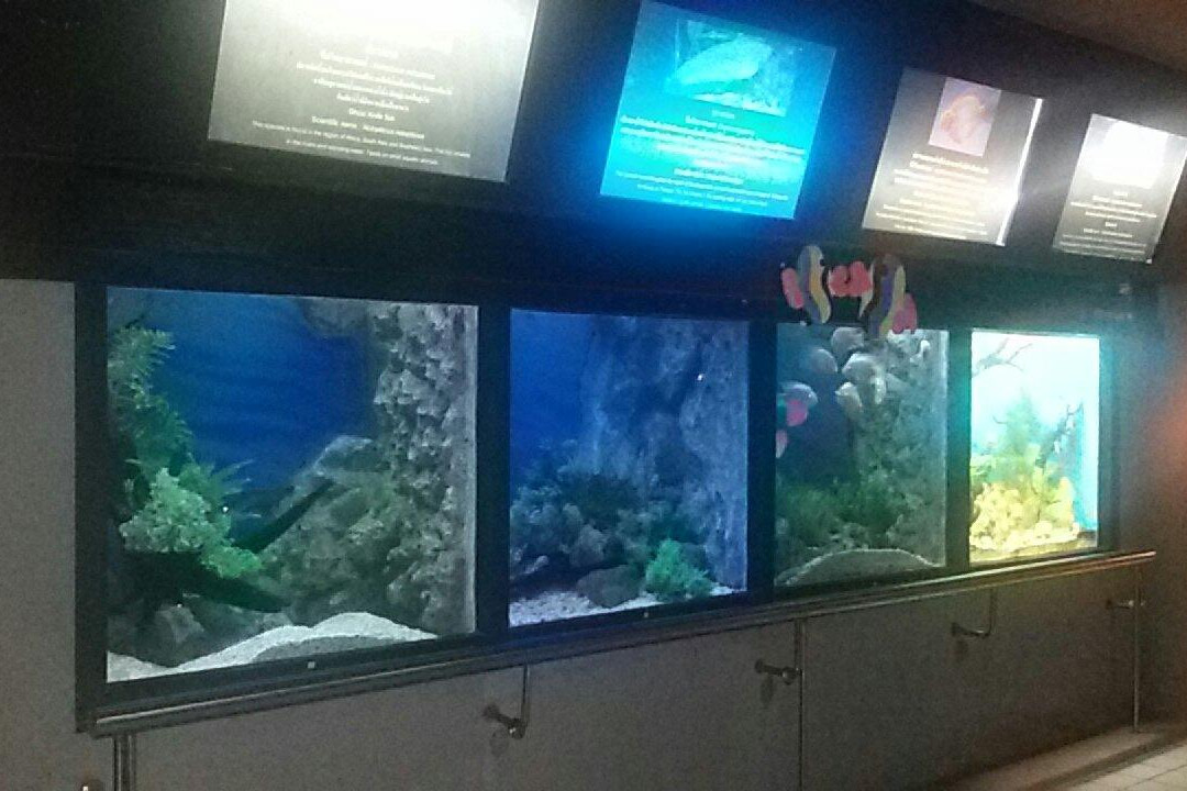Rajamangkala Aquarium Trang景点图片
