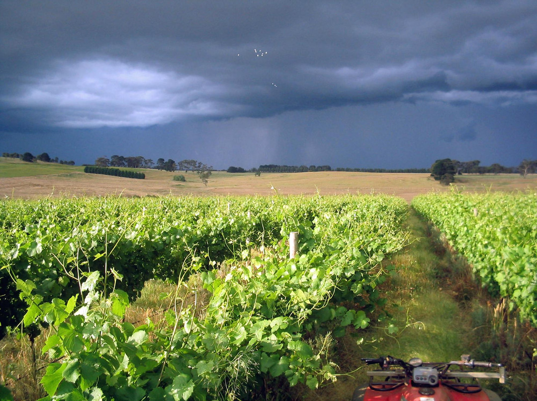 Pierrepoint Wines-Tarrington必去景点