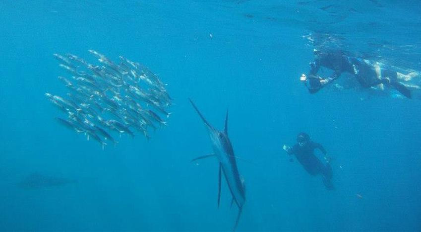 Explora Mexico Riviera Maya-普拉亚德尔卡曼必去景点