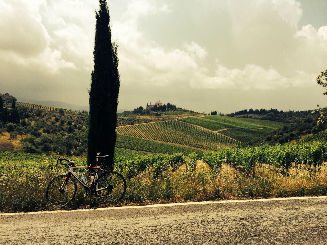 D.F. Bike Rental-锡耶纳必去景点