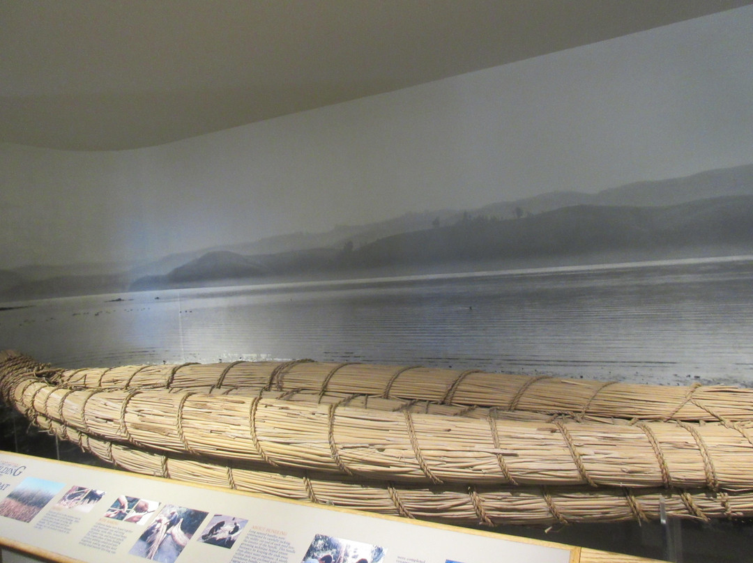 Museum at Coyote Hills-费利蒙必去景点