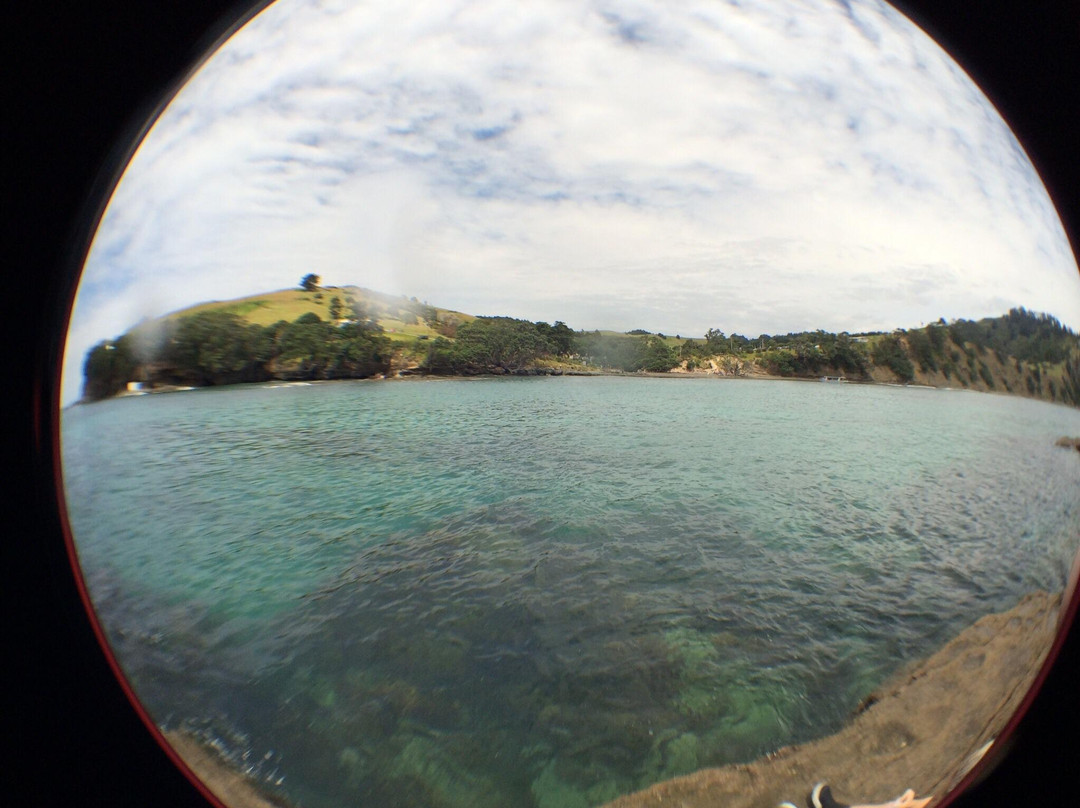 Goat Island Marine Reserve-瓦卡沃夫必去景点