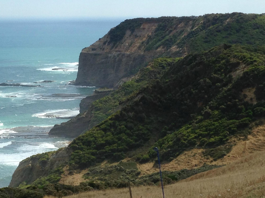 Wattle Hill旅游攻略图片