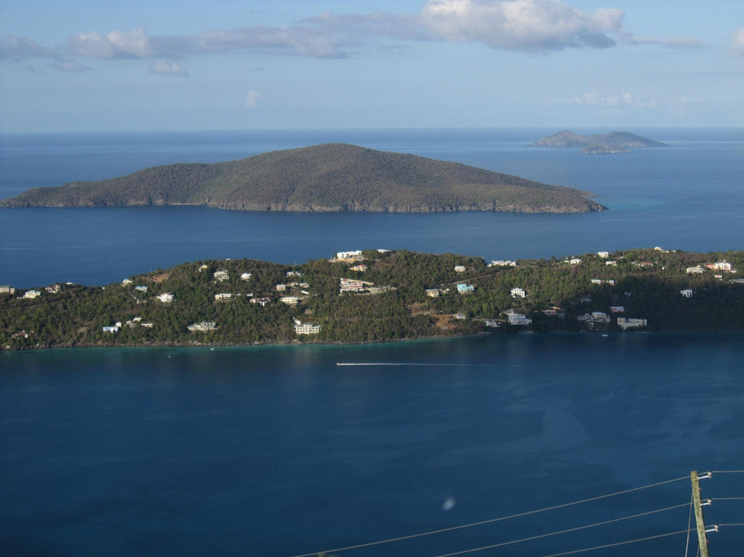 Tree Limin' Extreme Zipline-圣 托马斯必去景点