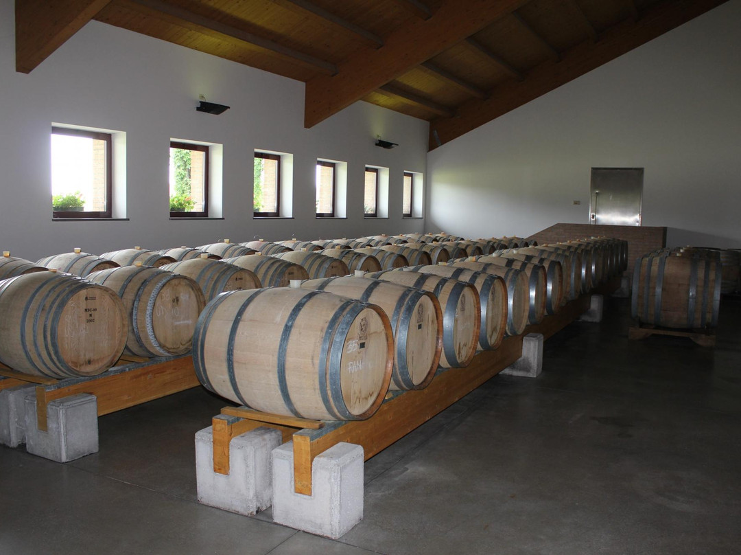 Azienda Agricola Giovanni Dri景点图片
