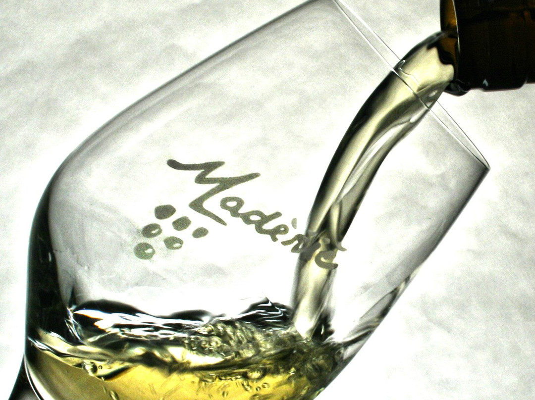 Moravska Nova Ves酒店住宿-Penzion Maderic