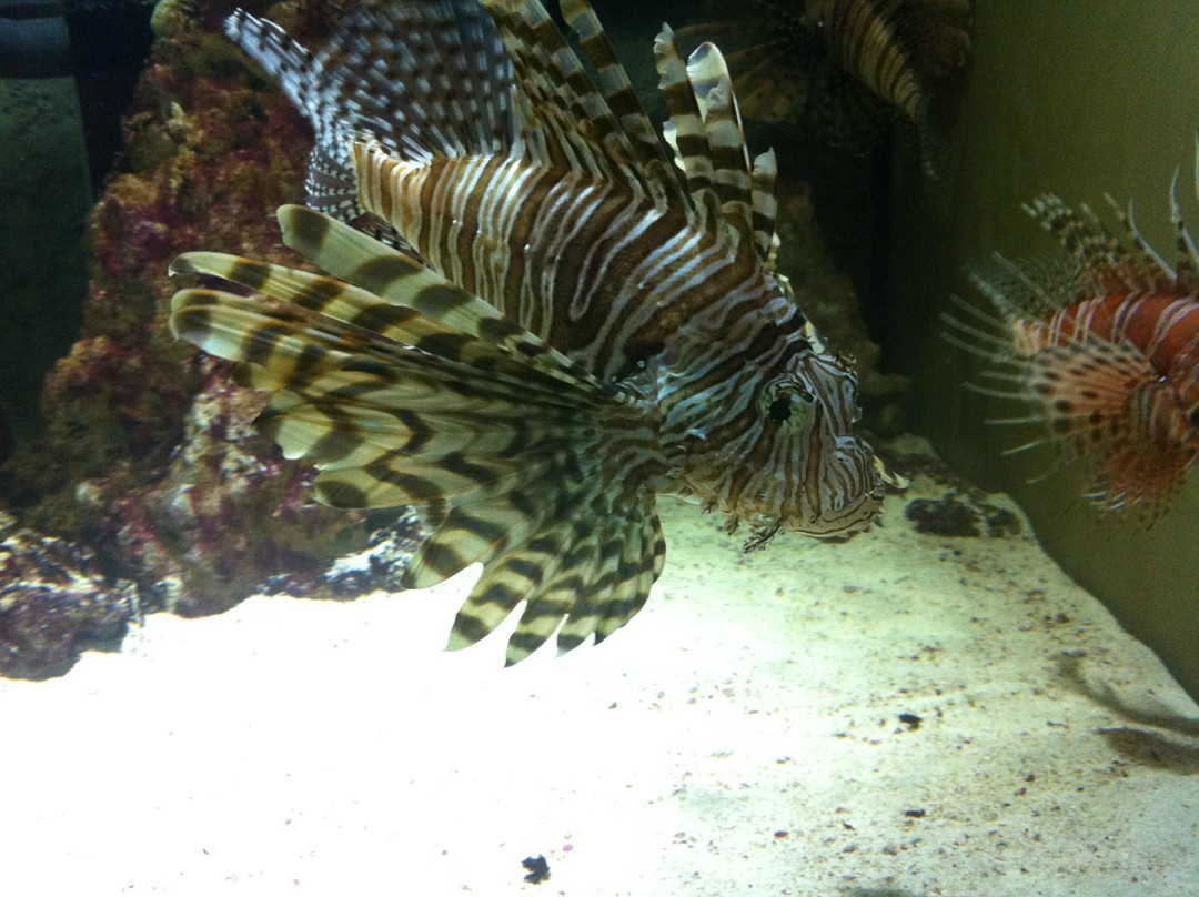 Emirates Park Zoo & Resort-阿布扎比必去景点