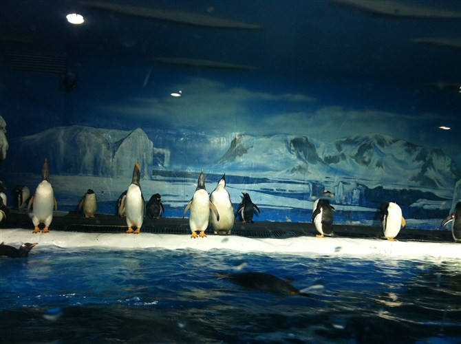 大连自然博物馆-大连市必去景点