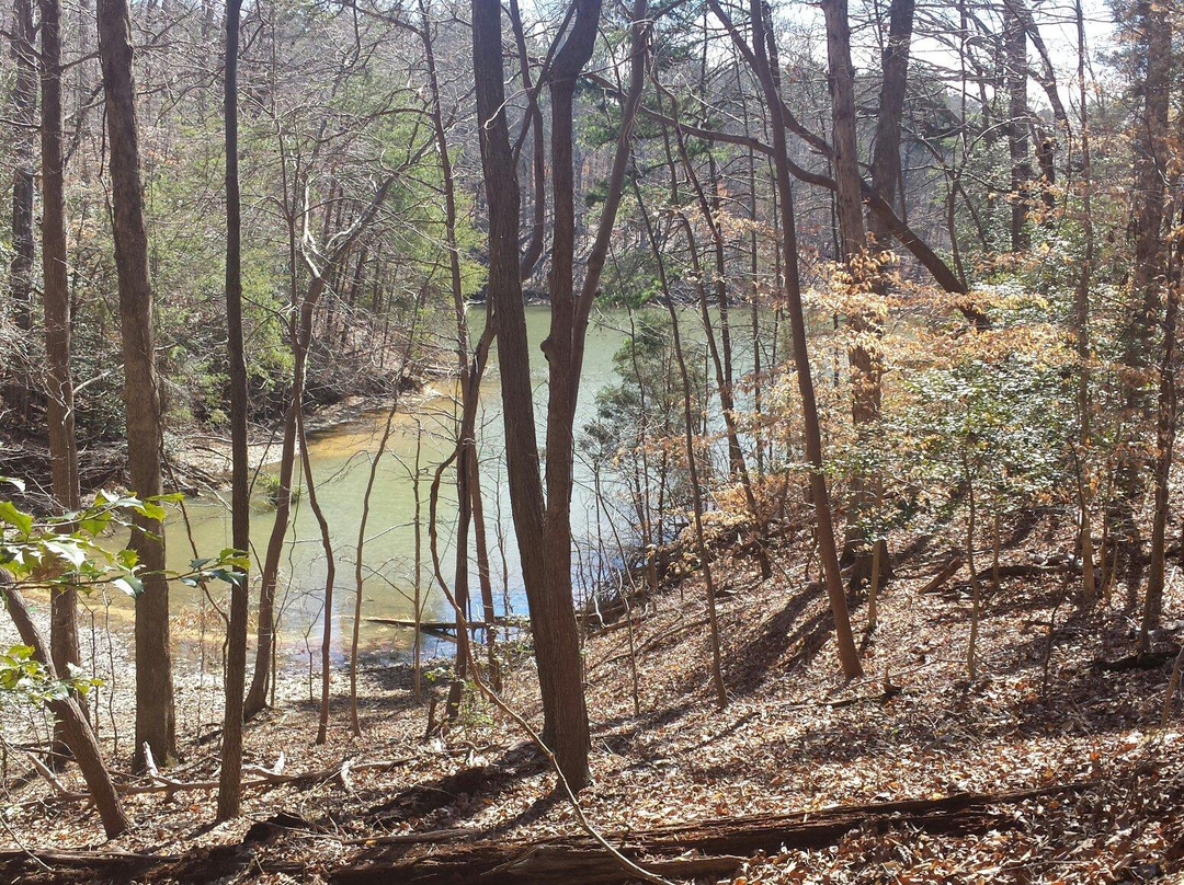 Lake Norman State Park景点图片