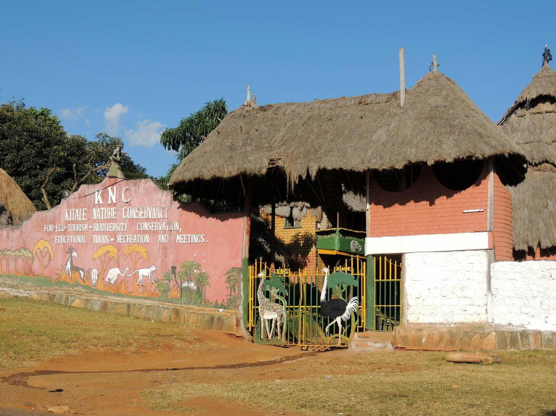 Kitale Nature Conservancy景点图片