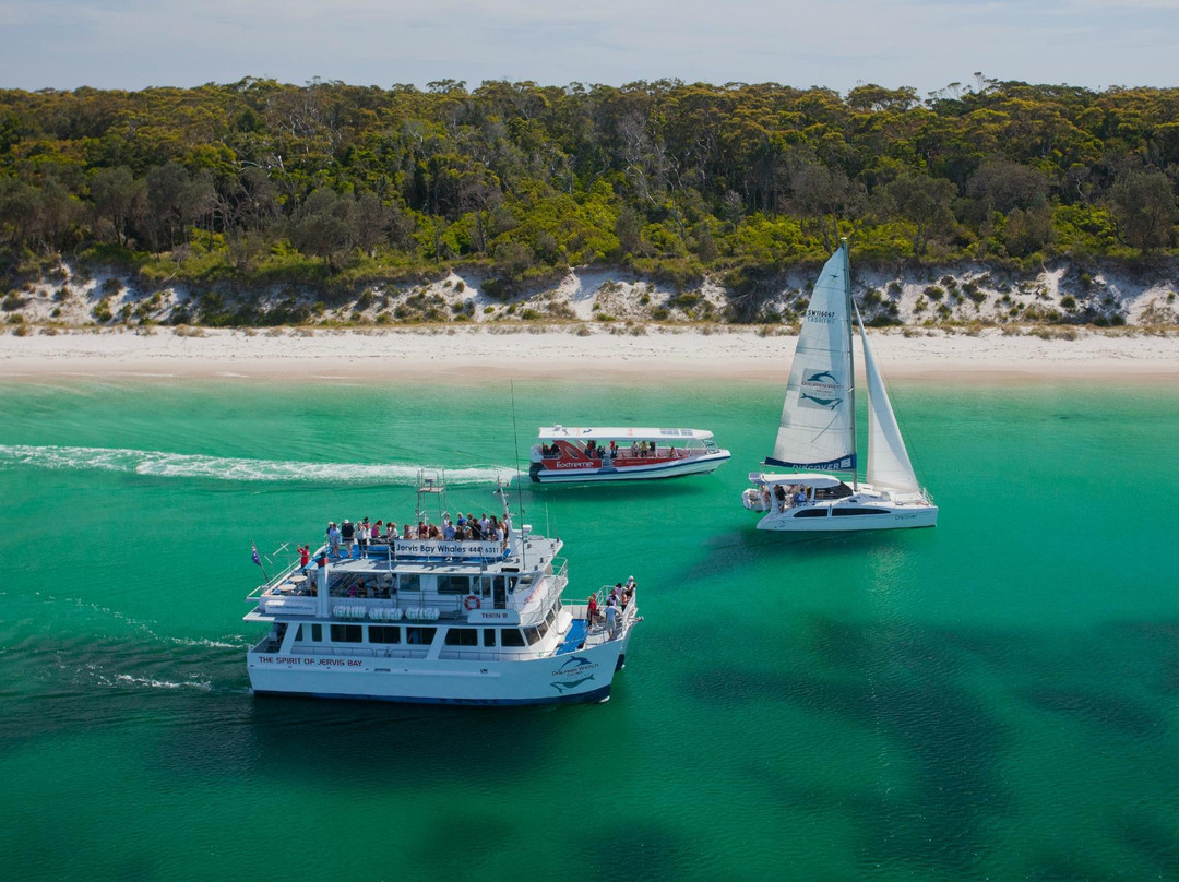 Dolphin Watch Cruises-赫斯基森必去景点