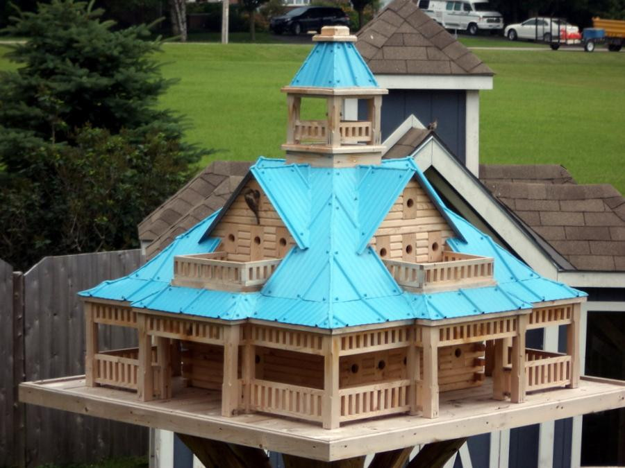 Extreme Birdhouses景点图片