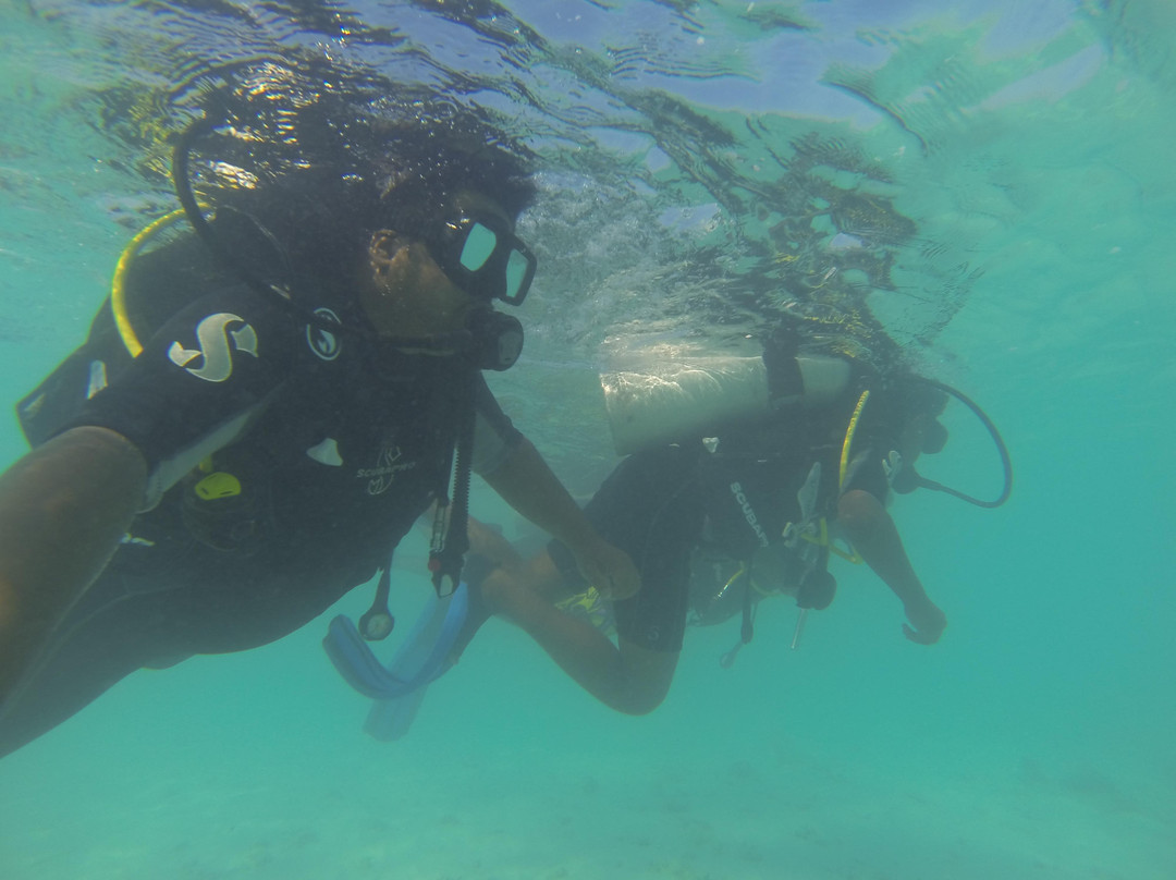 马富士潜水及水上运动-马富士岛必去景点