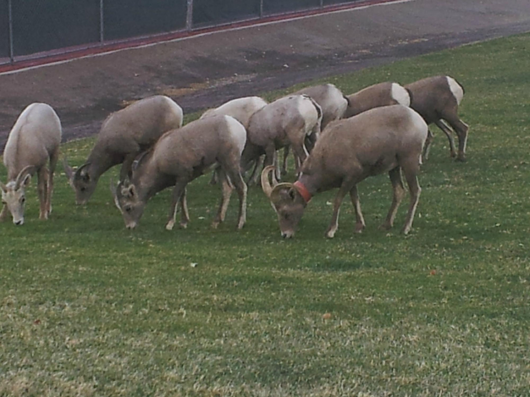 Hemenway Park-博尔德城必去景点