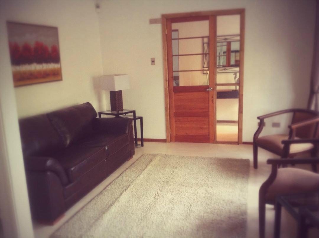 Hotel Solar de Rancagua主图