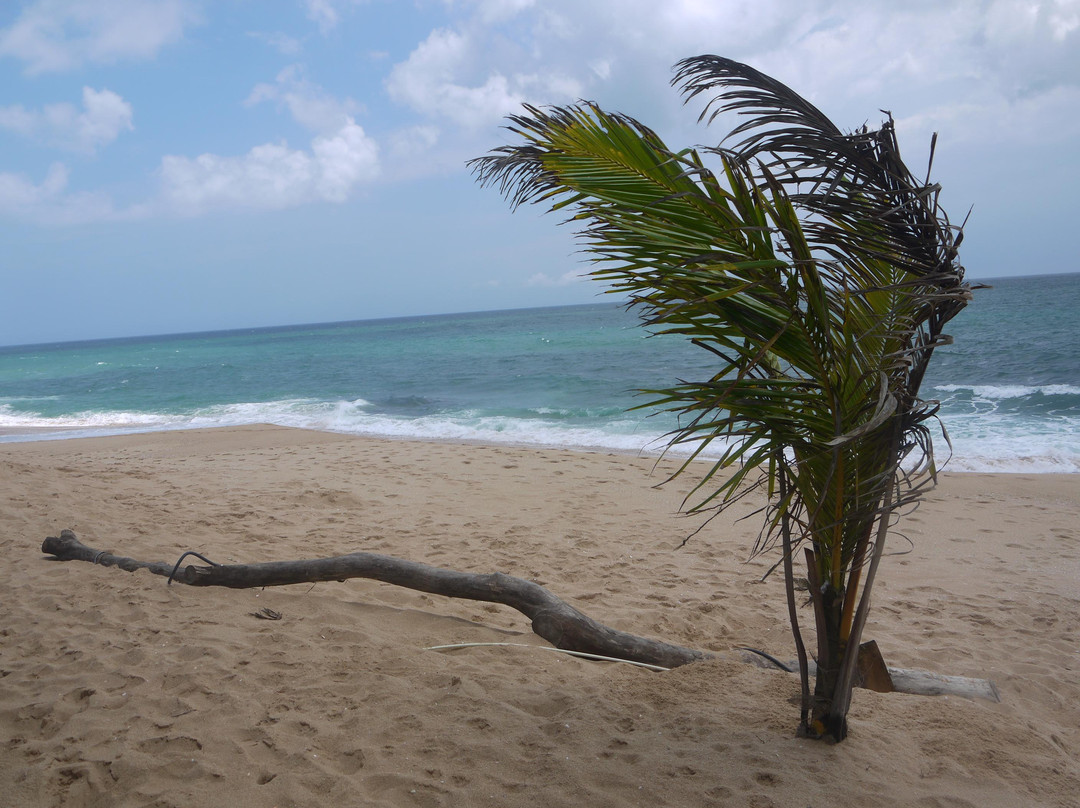 Medaketiya Activity Beach-唐卡拉必去景点