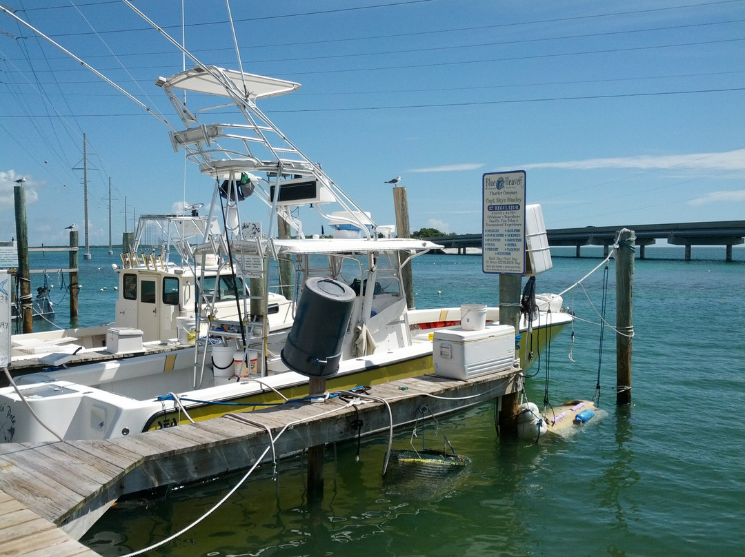 Robbie's Waverunners-伊斯拉摩拉达必去景点