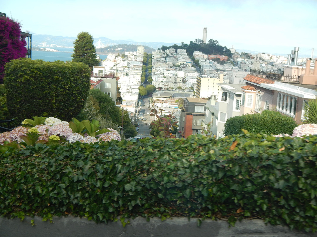 九曲花街-旧金山必去景点