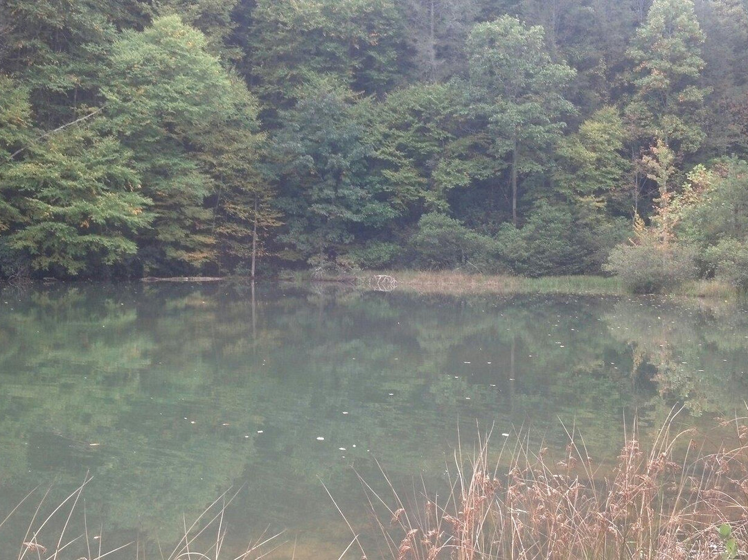 Beagle Ridge Herb Farm-Wytheville必去景点