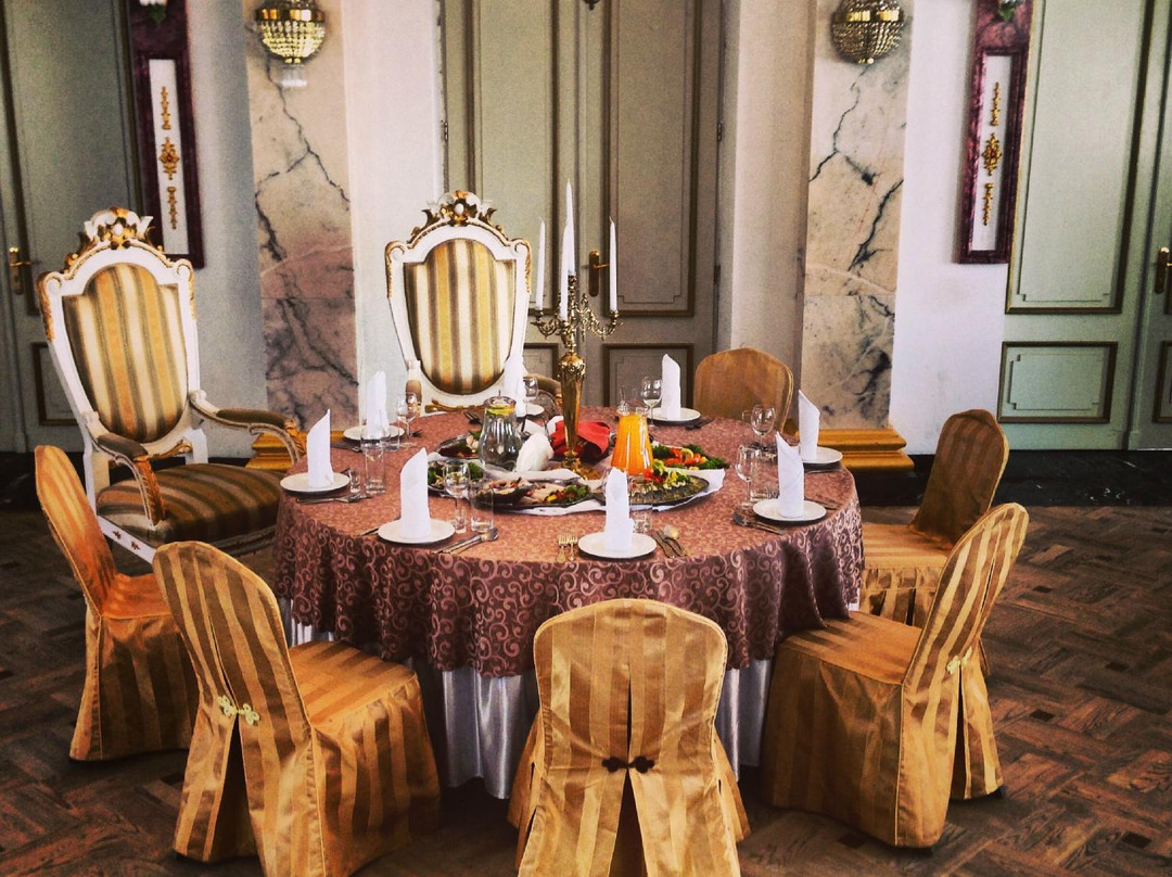 皮亚塞奇诺酒店住宿-Hotel Ksiaze Poniatowski