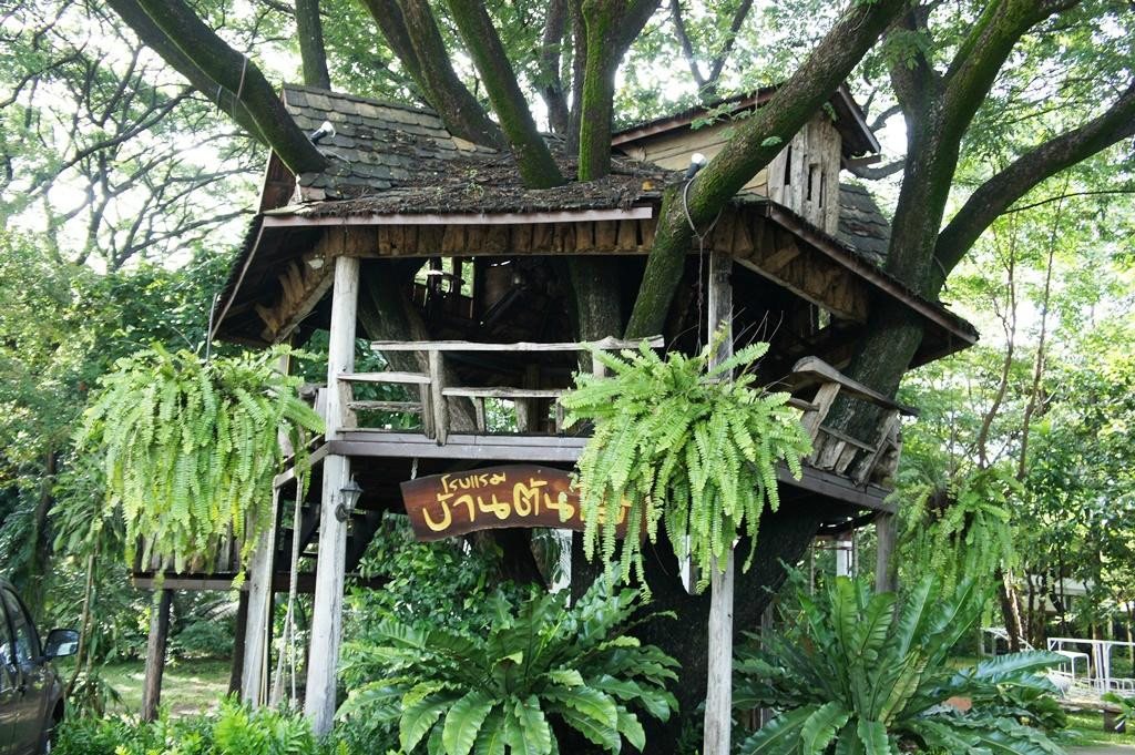 树屋酒店主图