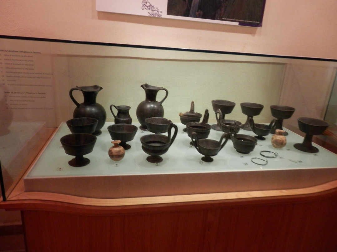 Museo Archeologico e della Vite e del Vino景点图片