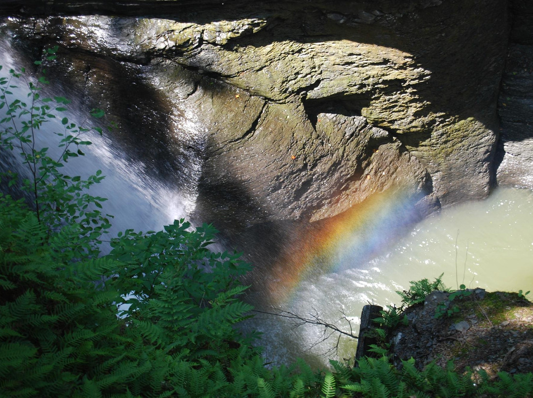 Mine Kill State Park-North Blenheim必去景点