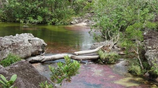 Cano Cristales-La Macarena必去景点