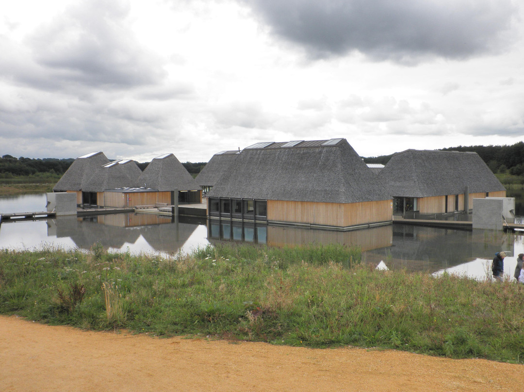 Brockholes Nature Reserve景点图片