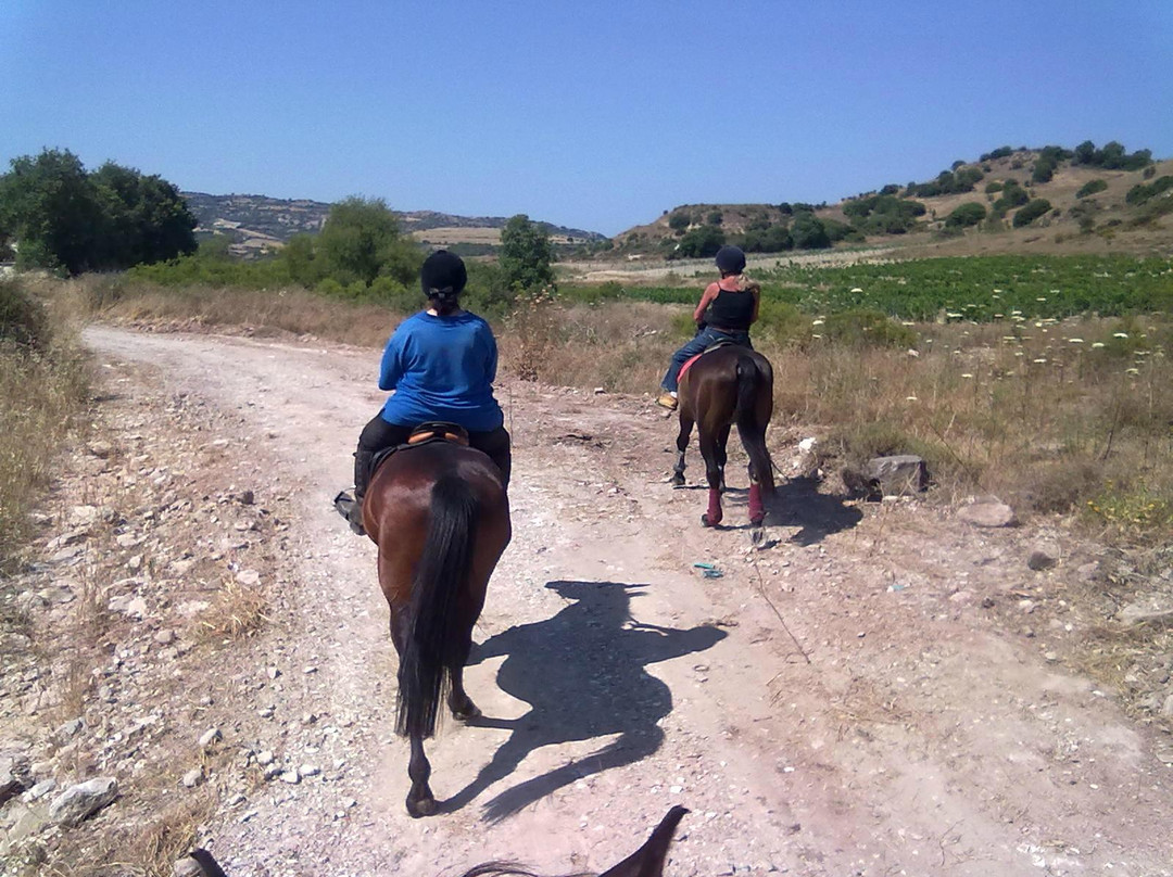 Amargeti Equestrian Club-Amargeti必去景点