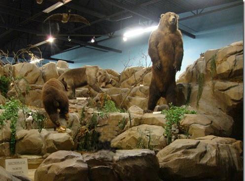 Rosenbruch World Wildlife Museum-圣乔治必去景点