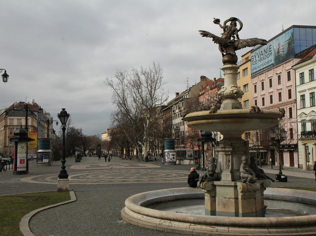 Hviezdoslavovo Namestie景点图片