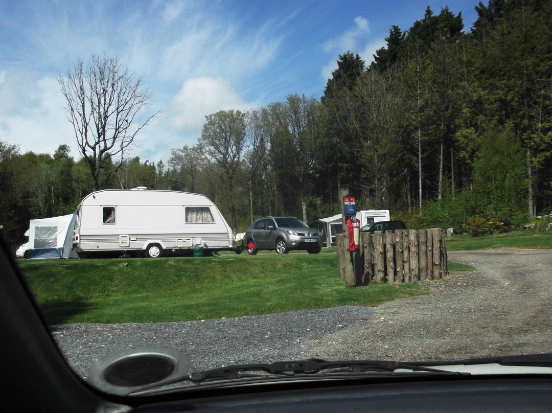 Whitefield Forest Touring Park