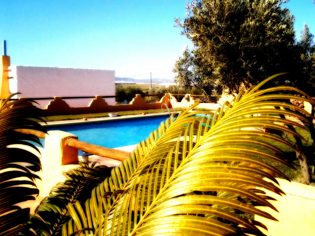 Olivares Rural