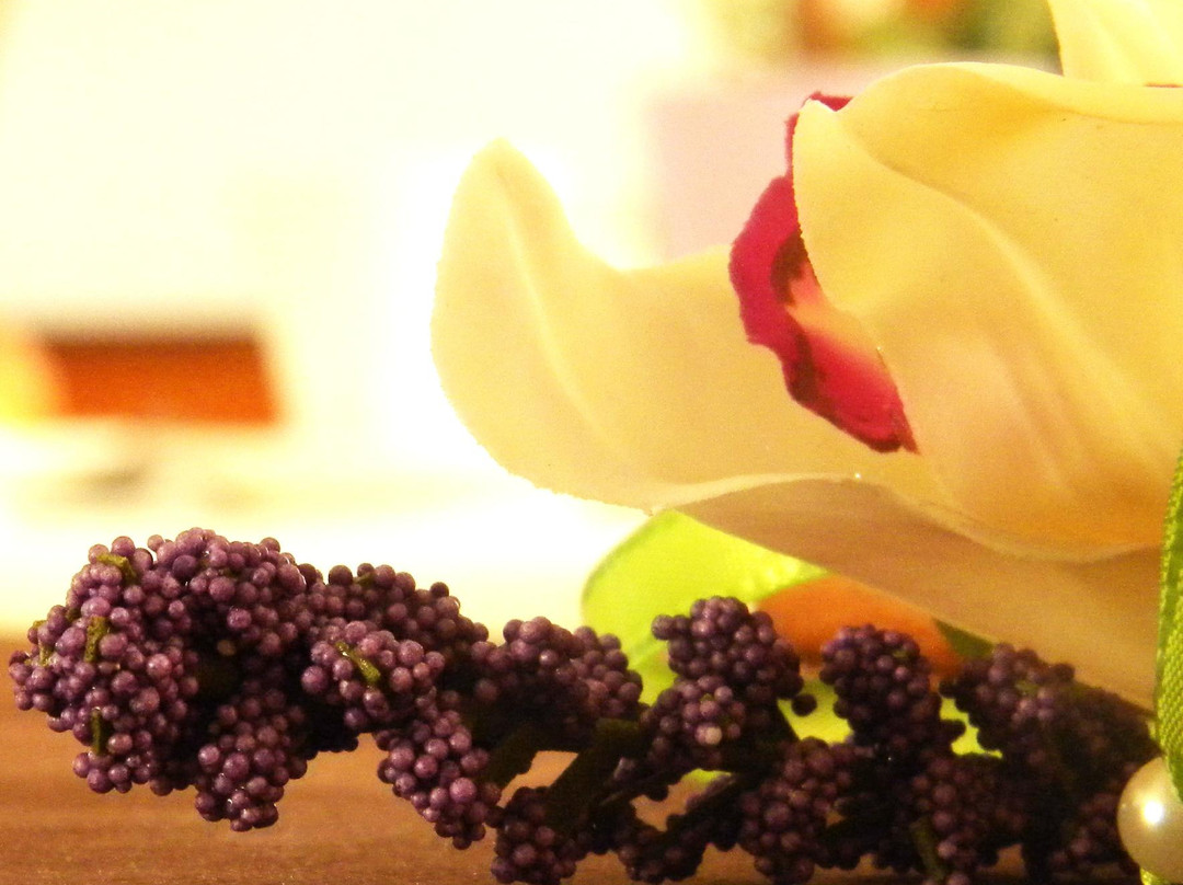 Martinsicuro酒店住宿-Hotel Villa Truentum
