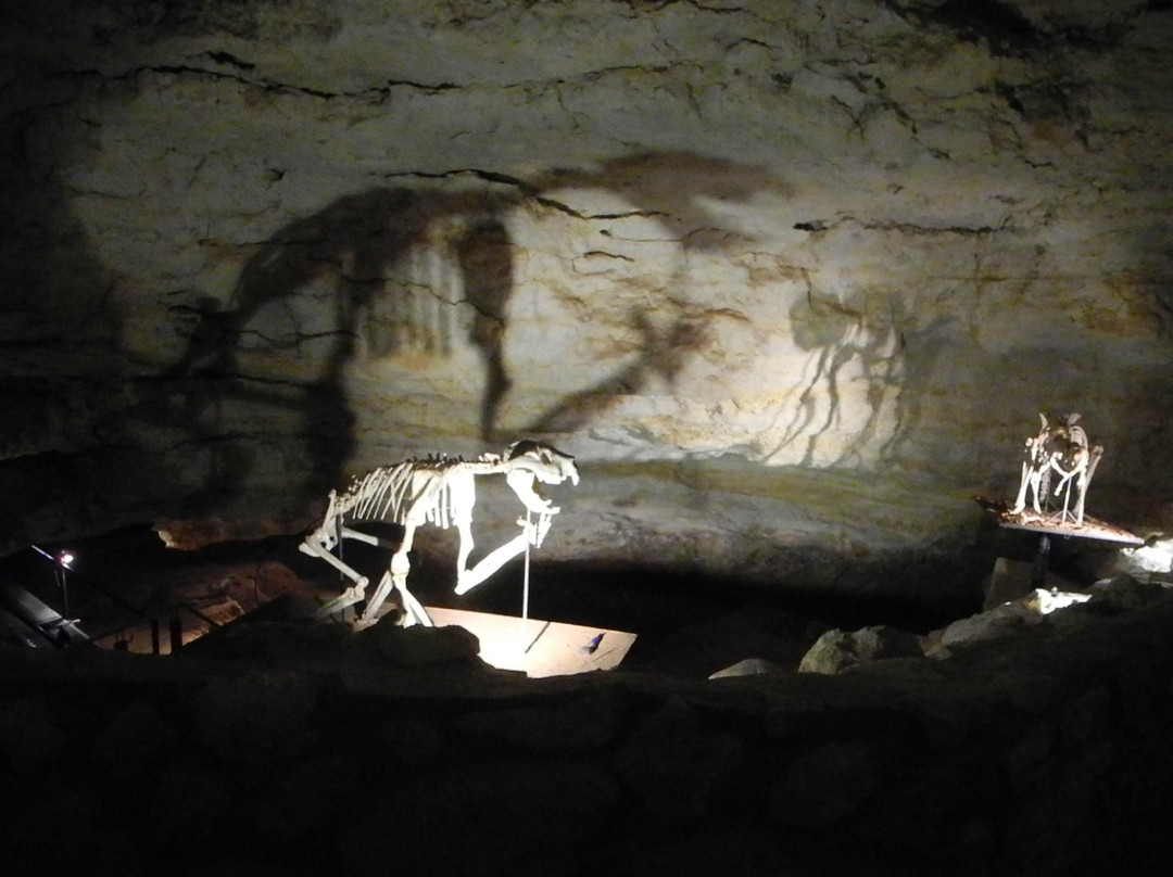 Naracoorte Caves National Park-Naracoorte必去景点