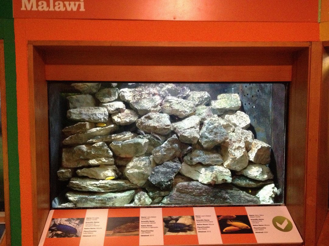Bolton Library and Museum Services景点图片