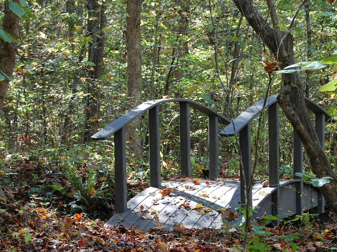 Adawehi Bed & Breakfast主图