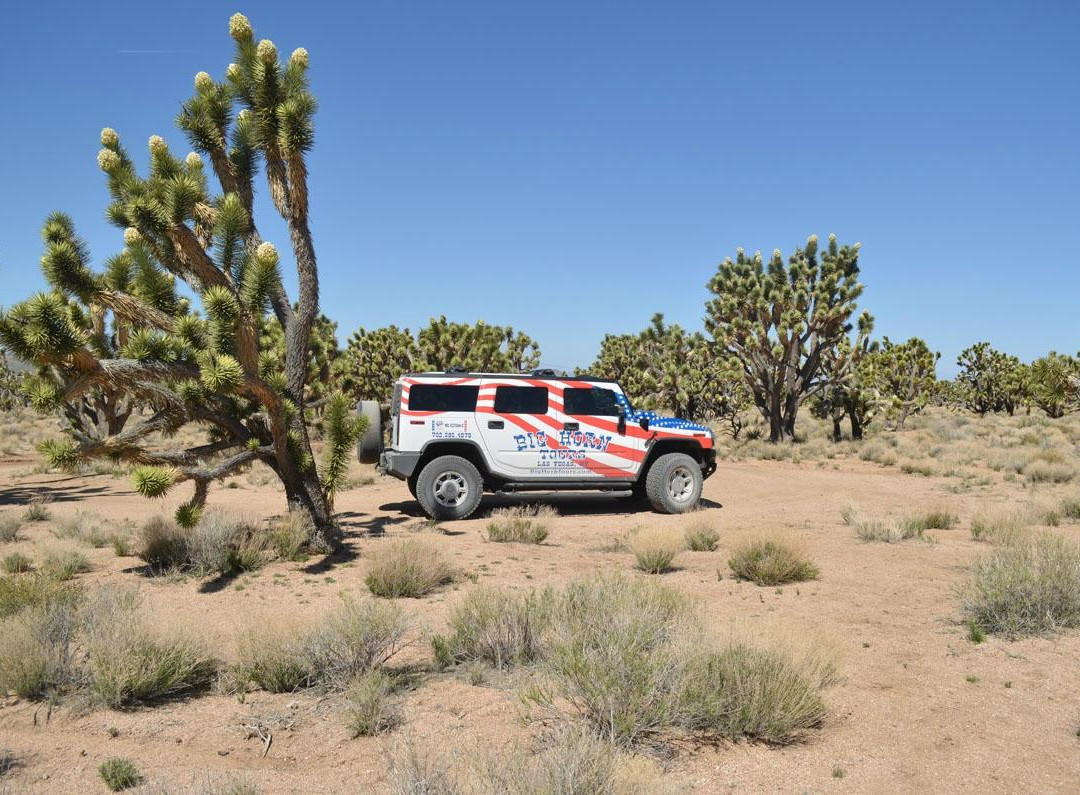 Bighorn Hummer Tours旅游团-拉斯维加斯必去景点