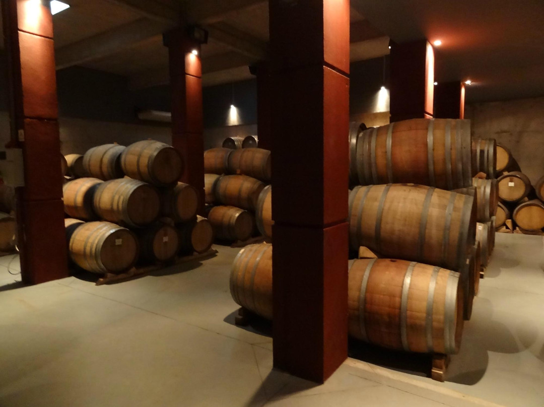 Vistandes Winery-Maipu必去景点